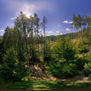 Fort Waligóra